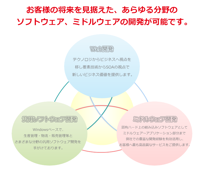 開発分野